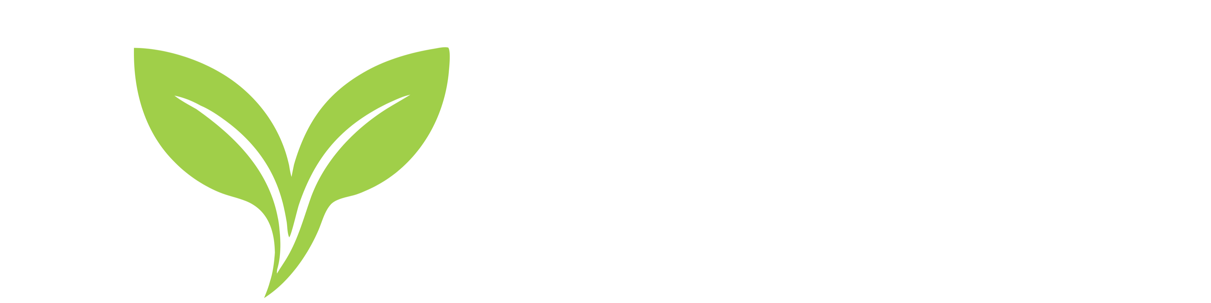 VivaVita